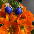 Cobalt Dream Studs
