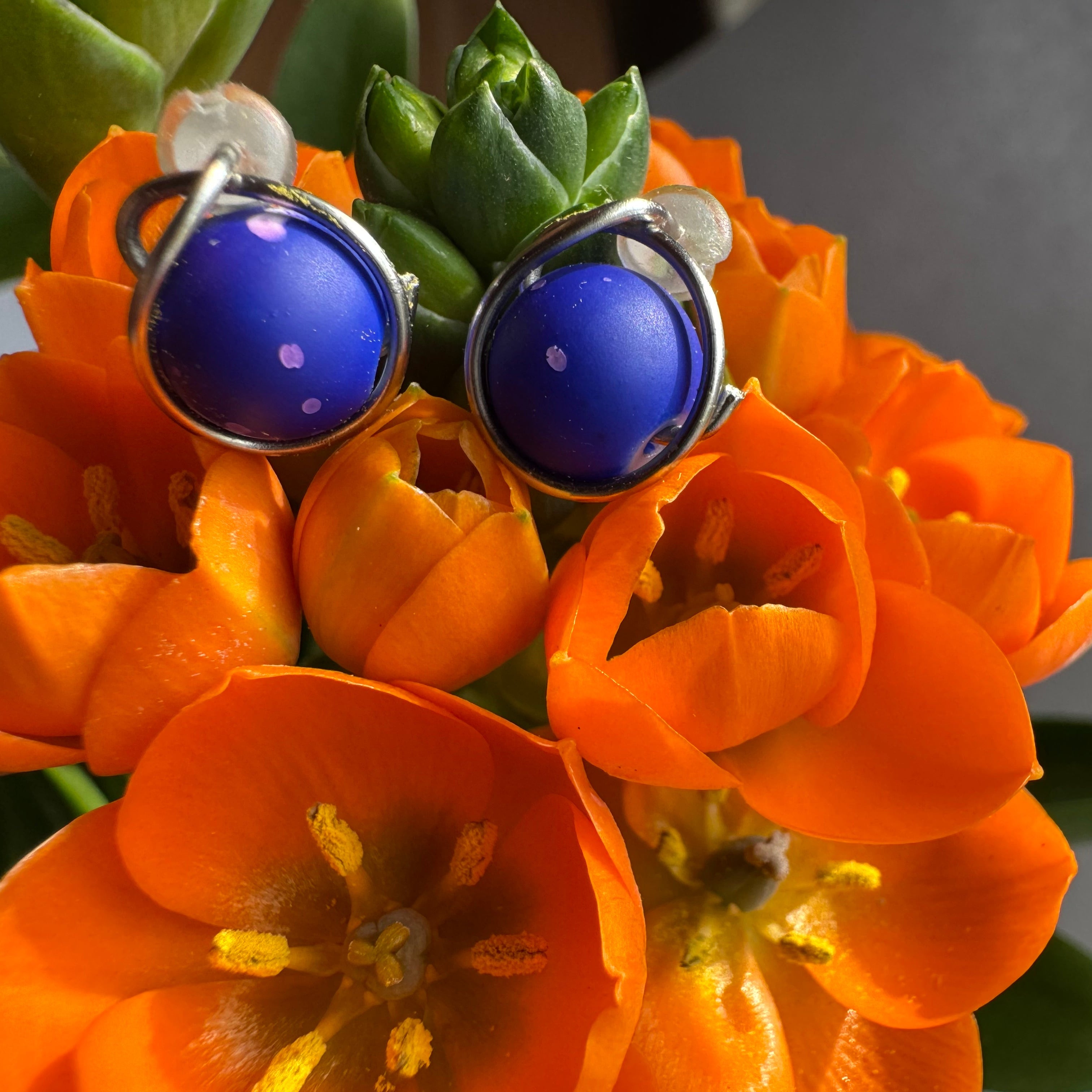 Cobalt Dream Studs