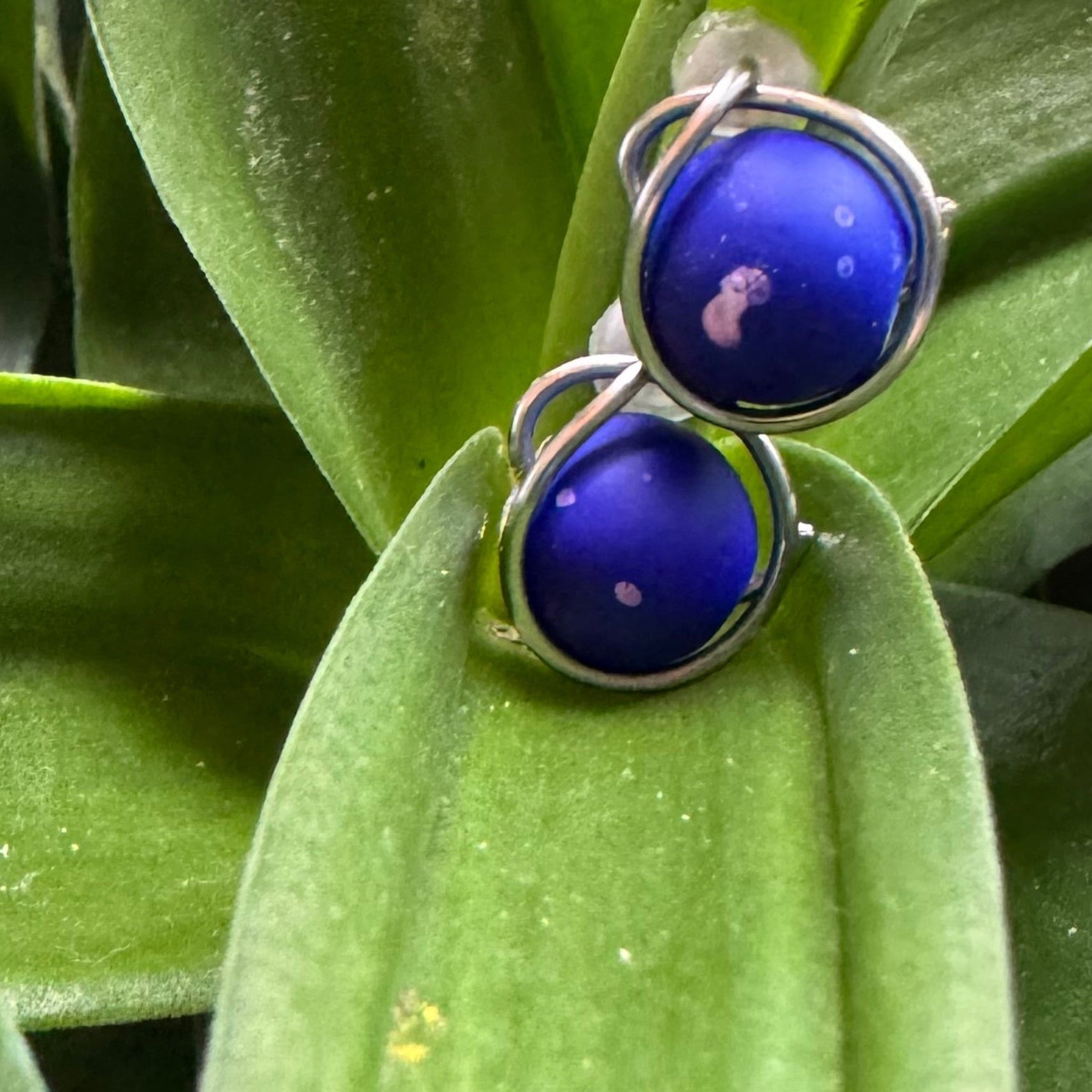 Cobalt Dream Studs
